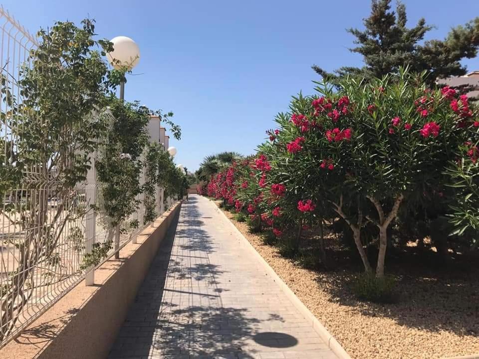 Apartamento Casa Punta Prima Oriola  Exterior foto